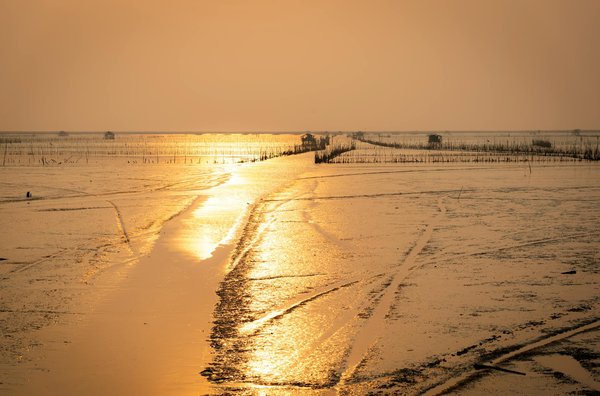 Quels sont les meilleurs sentiers pour une randonnée dans le parc national des Pyrénées en France?